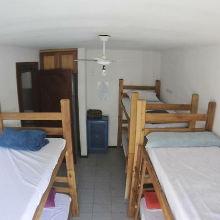 Gokai Hostel フロリアノポリス エクステリア 写真